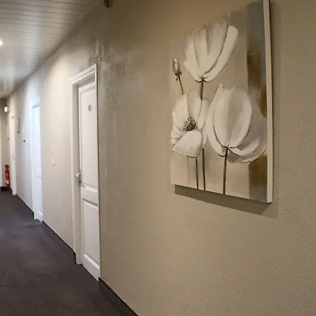 厄尔维迪克酒店 酒店