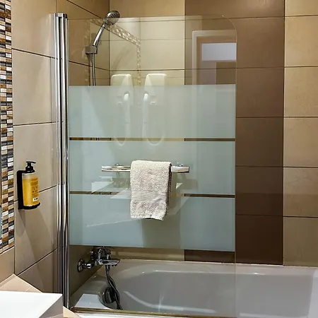 厄尔维迪克酒店 酒店 尼斯